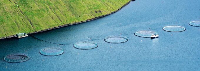 aquaculture