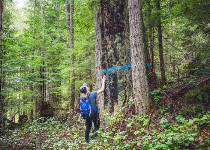 Forest2Sea-McGee-SFM_5526-1536x1024