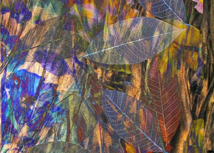 nareeta-martin-w2z5fpmn96I-unsplash